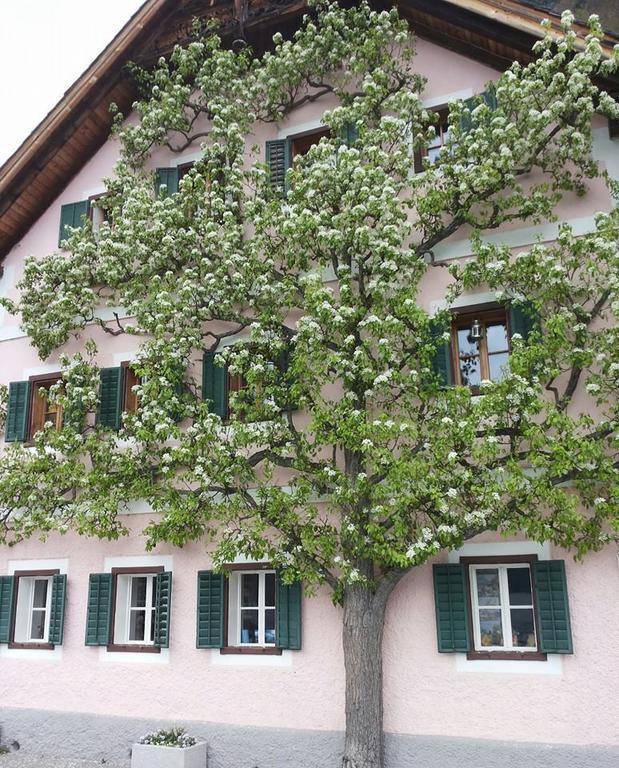 Apartment Luise Hallstatt Pokoj fotografie